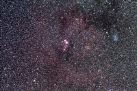 The Cone nebula region