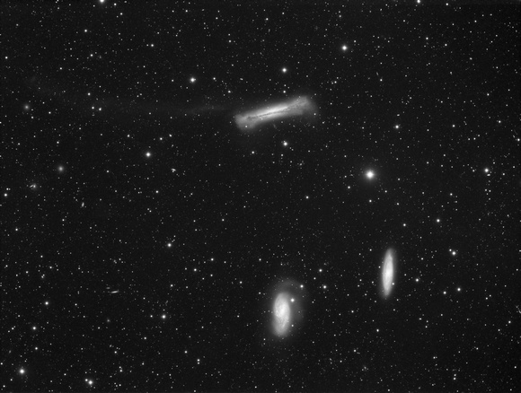 Leo Triplet with tidal tail