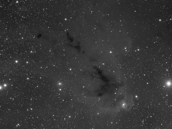 LDN1622 in Orion.