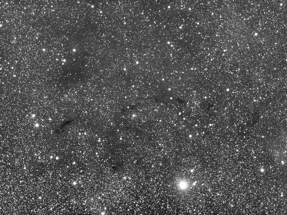 Dark nebulas in Cepheus